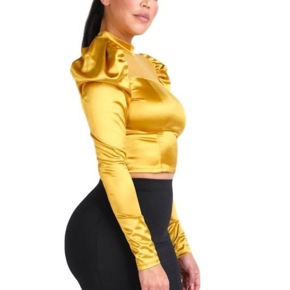 Mesh Contrast Puff Shoulder Satin Top - Picture 2 of 3